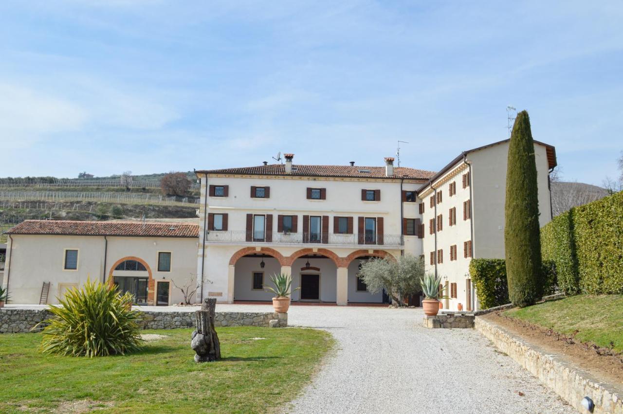 Verdeolivo 1876 - Apartments & Pool Mezzane di Sotto Eksteriør billede