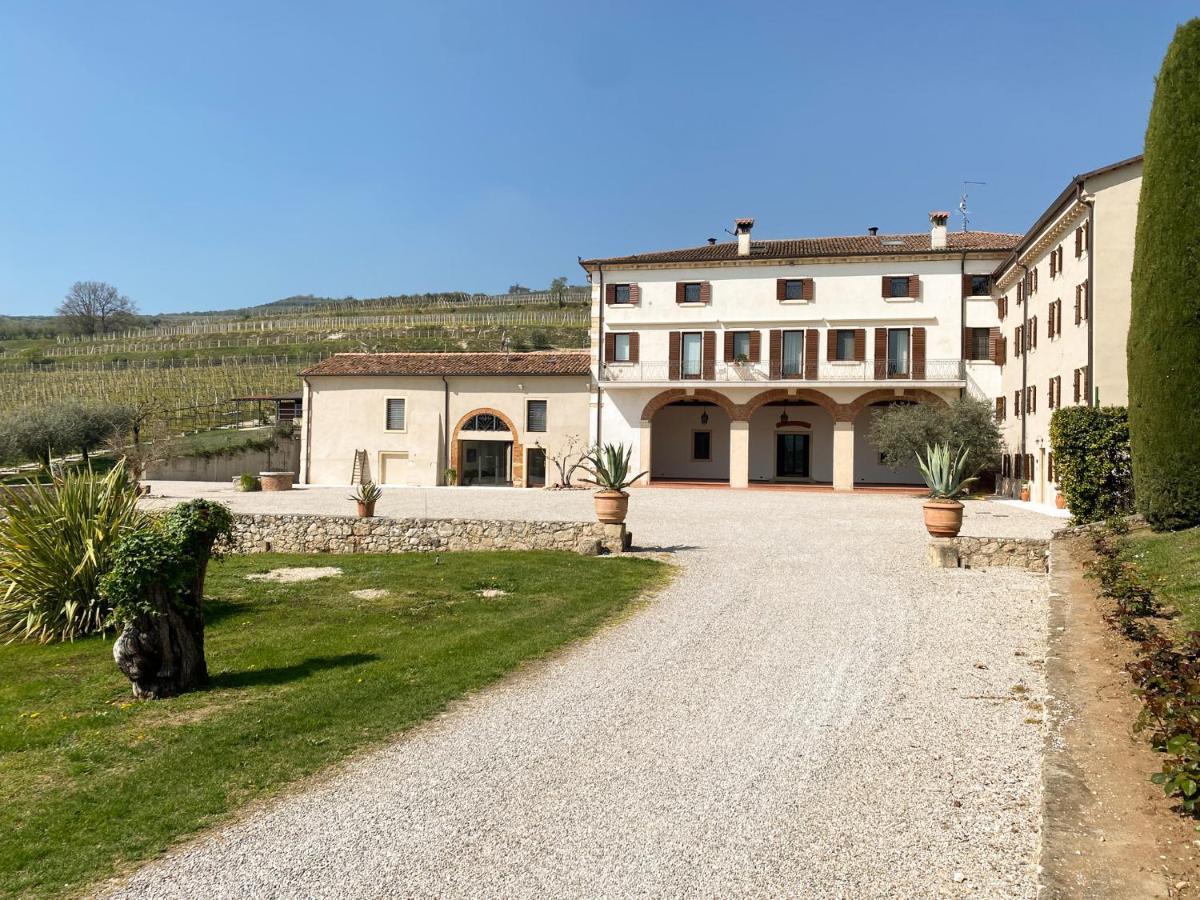 Verdeolivo 1876 - Apartments & Pool Mezzane di Sotto Eksteriør billede