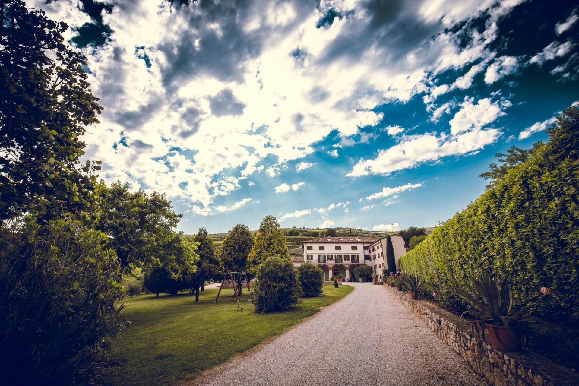 Verdeolivo 1876 - Apartments & Pool Mezzane di Sotto Eksteriør billede