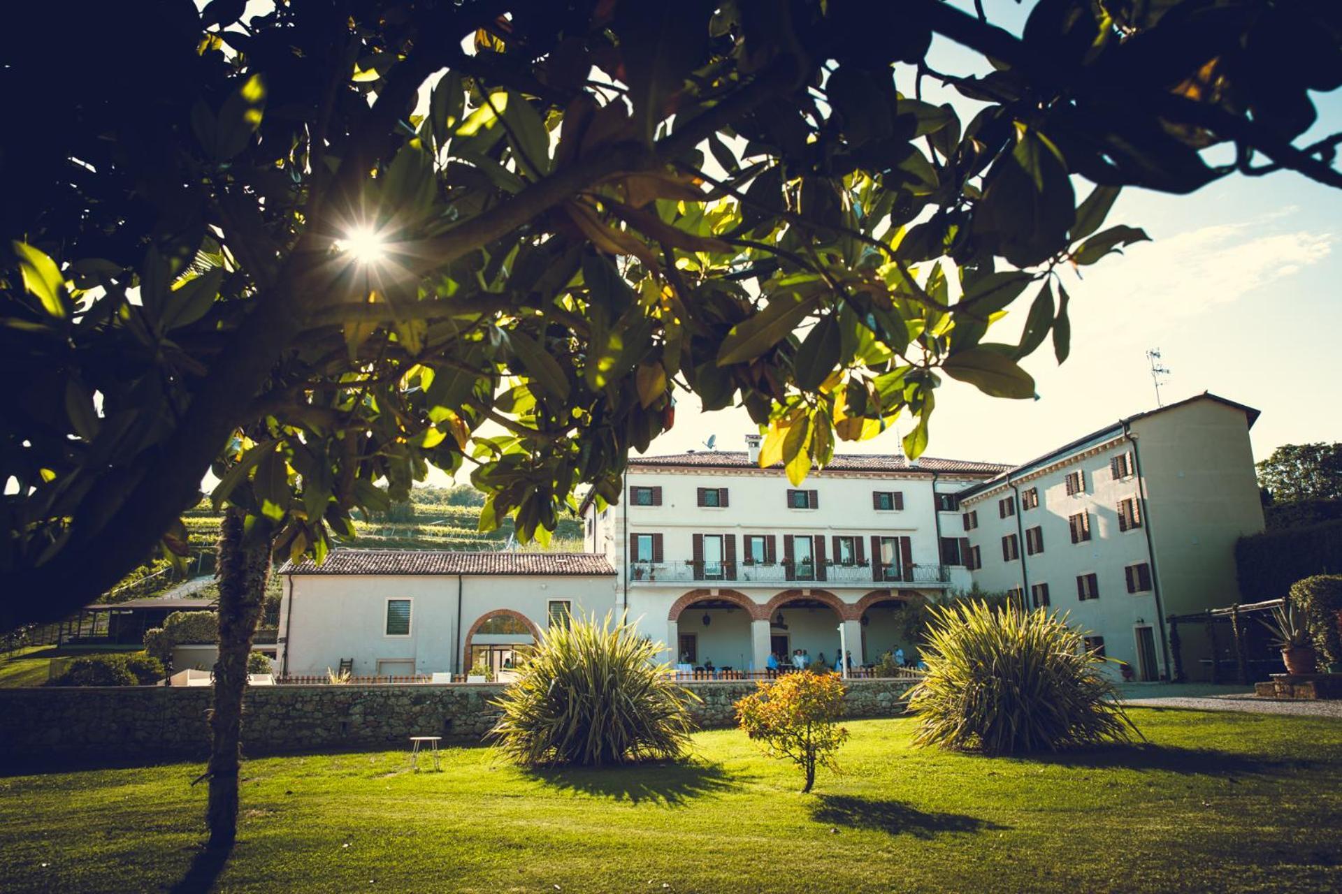 Verdeolivo 1876 - Apartments & Pool Mezzane di Sotto Eksteriør billede