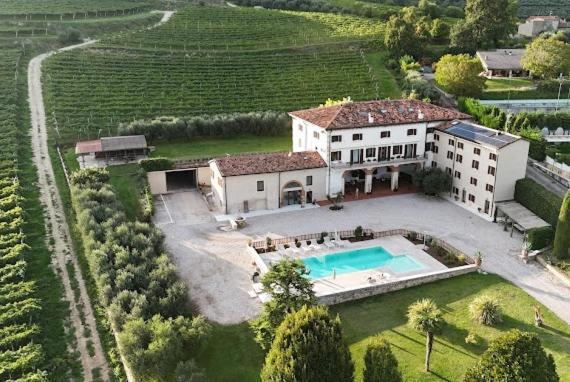Verdeolivo 1876 - Apartments & Pool Mezzane di Sotto Eksteriør billede